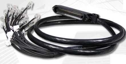 rj-21-breakout-cablesfngmgh,