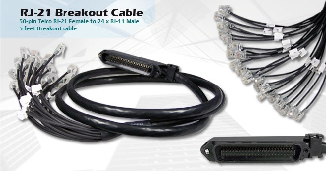 rj-21-fembreakout-cable